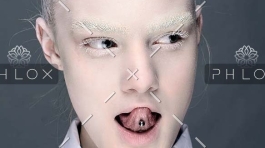 demo-attachment-558-image_5