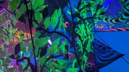 PXL_20250523_190600894.MP